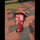 Als Frischezeugnis vor einer Metzgerei